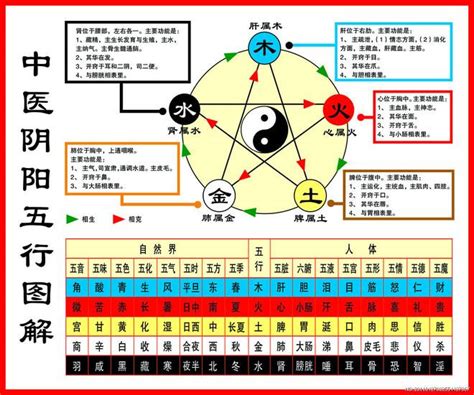 金克什么|一分钟记住，五行相生相克。